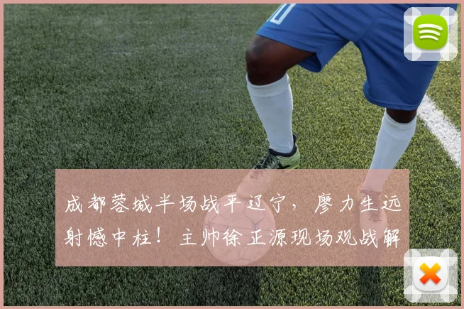 成都蓉城半场战平辽宁，廖力生远射憾中柱！主帅徐正源现场观战解析